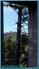 o0010120629.jpg (187176 Byte)