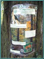 o0010120648.jpg (195496 Byte)