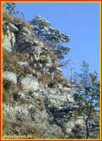 o1160267.jpg (98356 Byte)