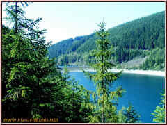 o8060224.jpg (197367 Byte)