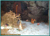 o801151.jpg (92556 Byte)