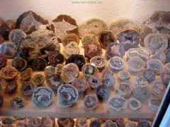 Lore-Tabarz 27-10-09 0456.jpg (99252 Byte)