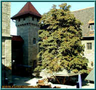 o9290584.jpg (204053 Byte)