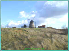 o080721.jpg (118089 Byte)